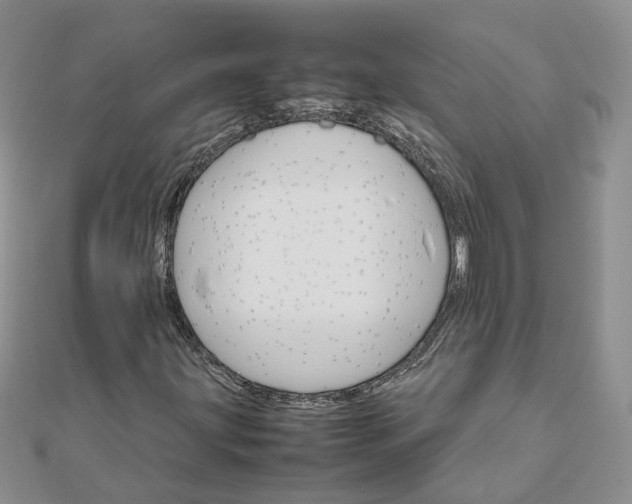 X0000111681203200907311212