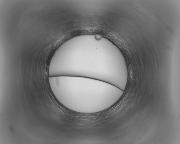 X0000111681204200907311212