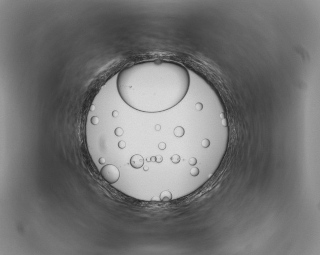 X0000111681205200907311212