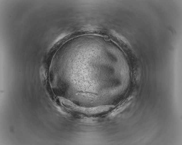 X0000111681206200907311212