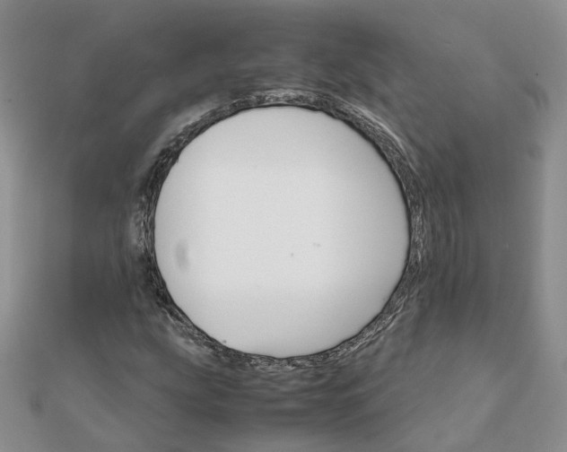 X0000111681207200907311212