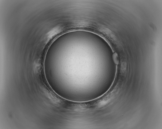 X0000111681210200907311213