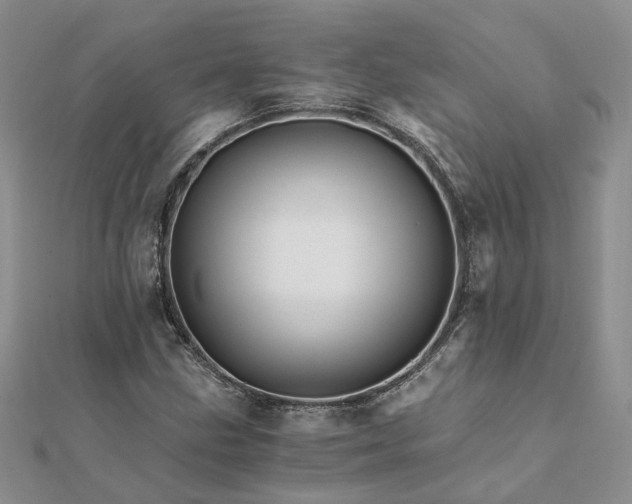 X0000111681211200907311213