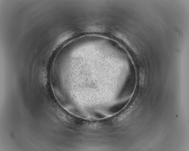 X0000111681213200907311213