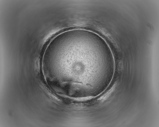 X0000111681214200907311213