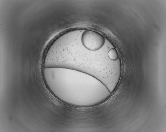 X0000111681216200907311213