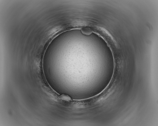 X0000111681217200907311213