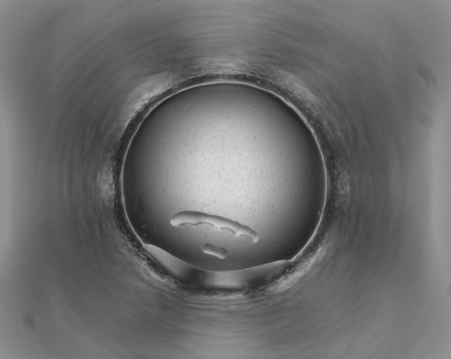 X0000111681218200907311213