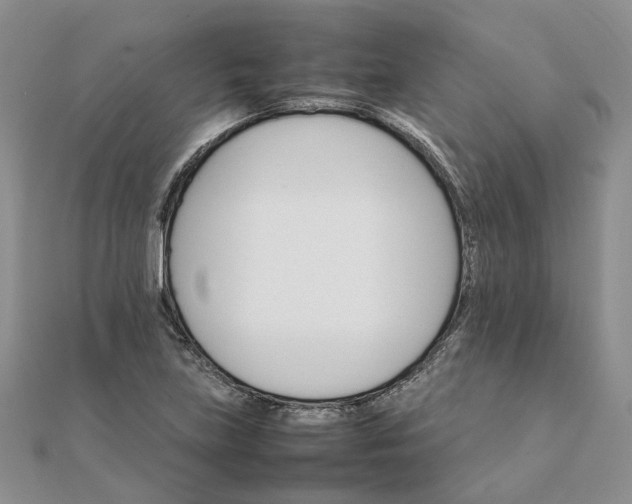 X0000111681219200907311213