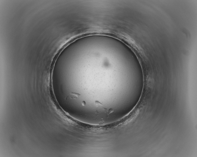 X0000111681220200907311213