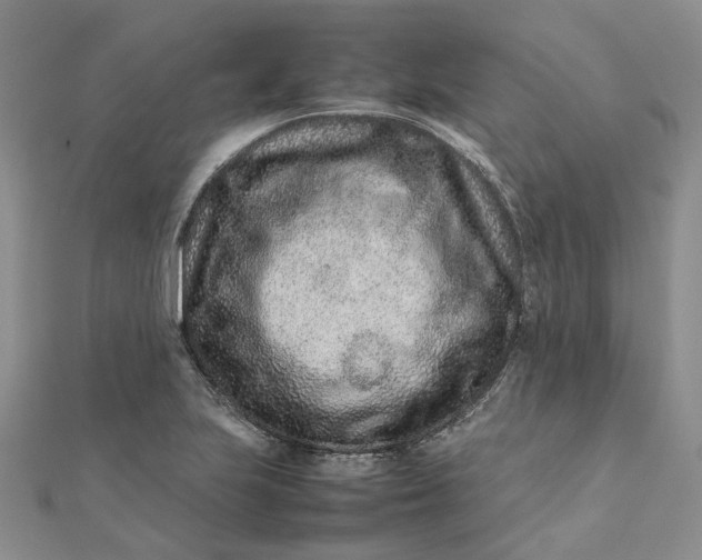 X0000111681223200907311213