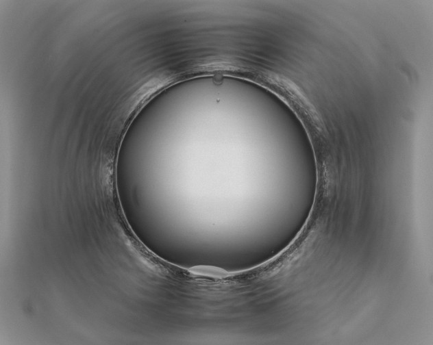 X0000111681225200907311213