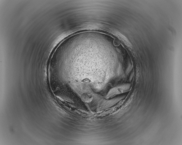 X0000111681226200907311213