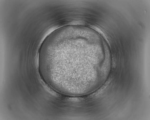 X0000111681227200907311213