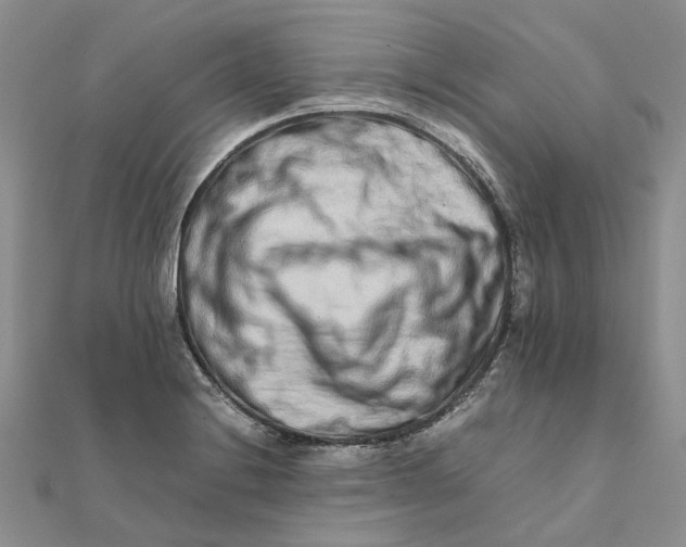 X0000111681228200907311213