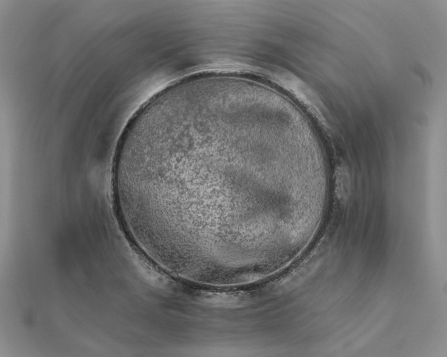 X0000111681229200907311213