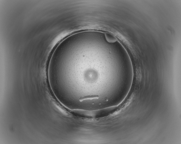 X0000111681230200907311213