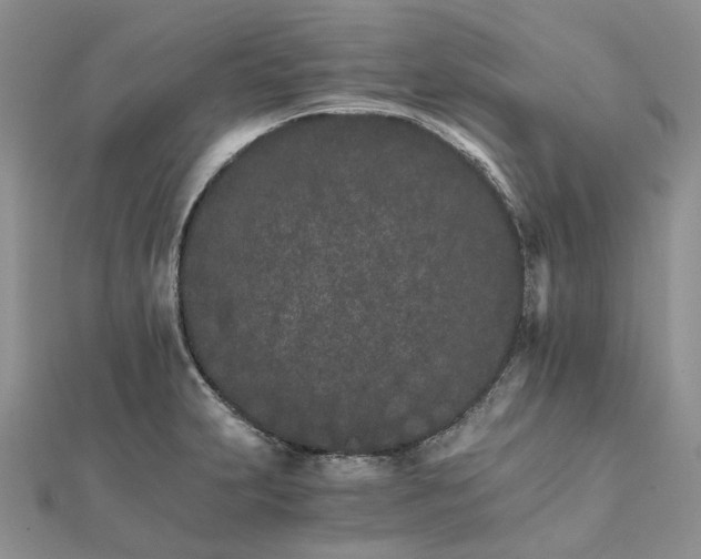 X0000111681231200907311213