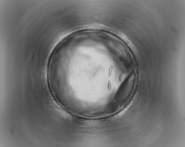 X0000111681232200907311213