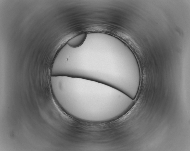 X0000111681233200907311213