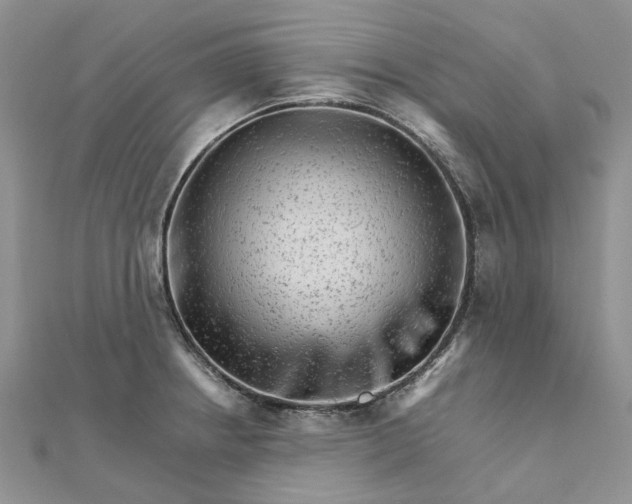 X0000111681234200907311213