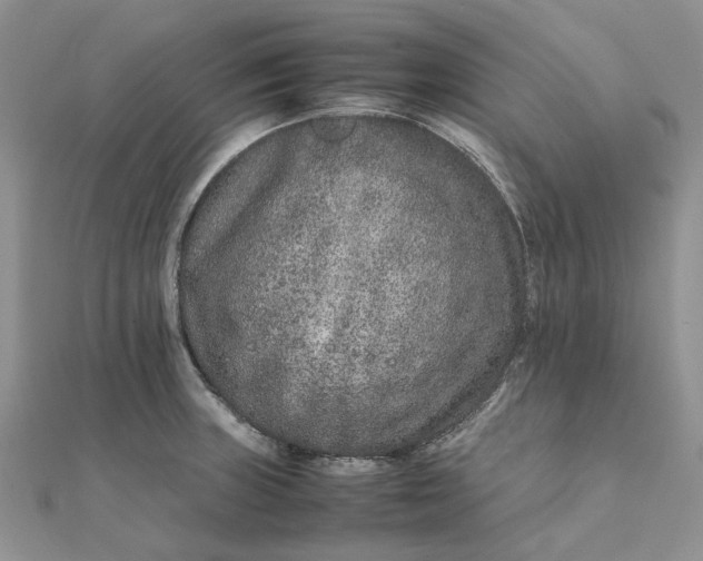 X0000111681235200907311213