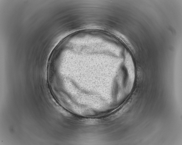 X0000111681236200907311213