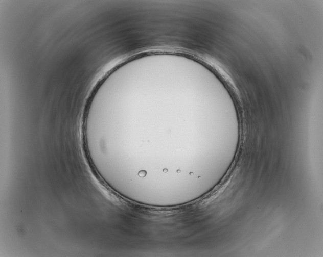 X0000111681237200907311213