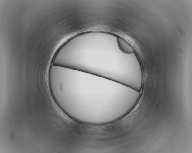 X0000111681238200907311213