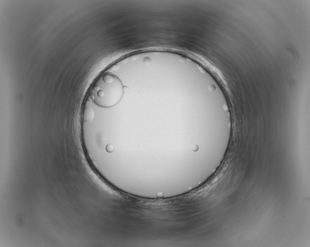 X0000111681239200907311213