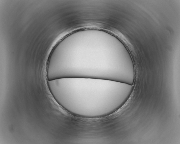 X0000111681240200907311213