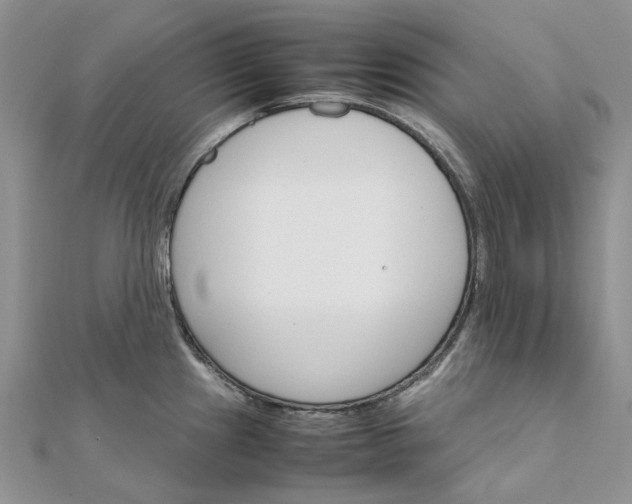 X0000111681241200907311213