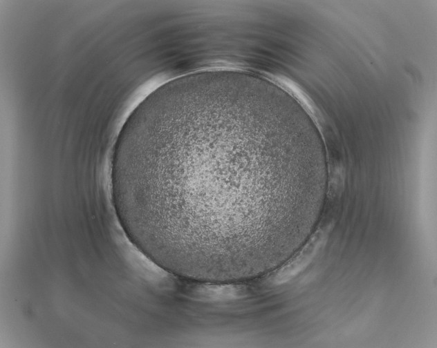 X0000111681243200907311213