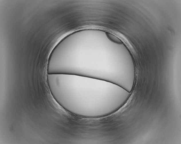 X0000111681244200907311213