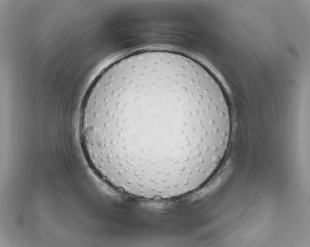 X0000111681245200907311213