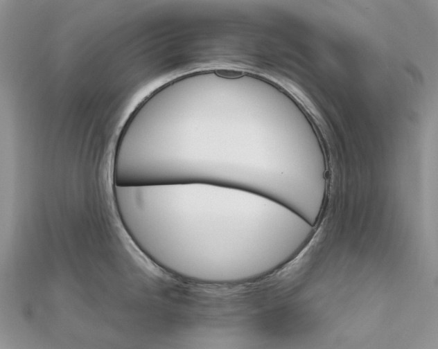 X0000111681246200907311213