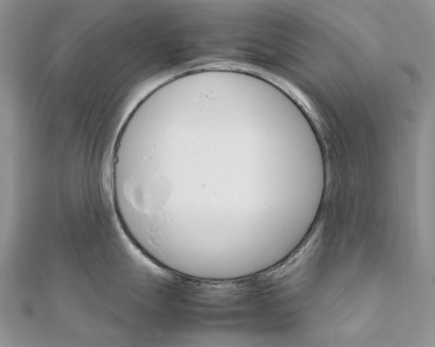 X0000111681247200907311213