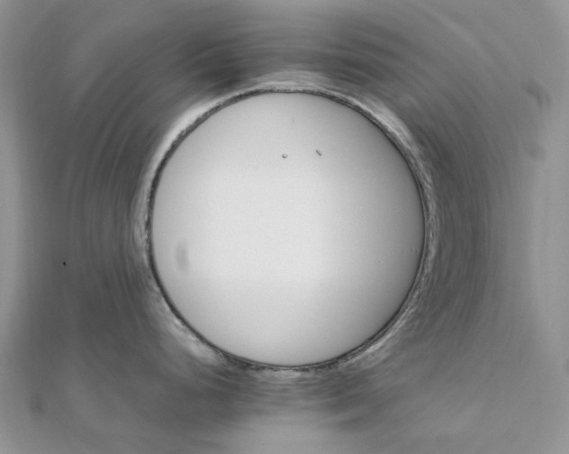 X0000111681248200907311213