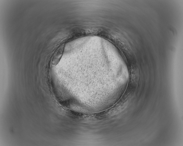 X0000111681249200907311212