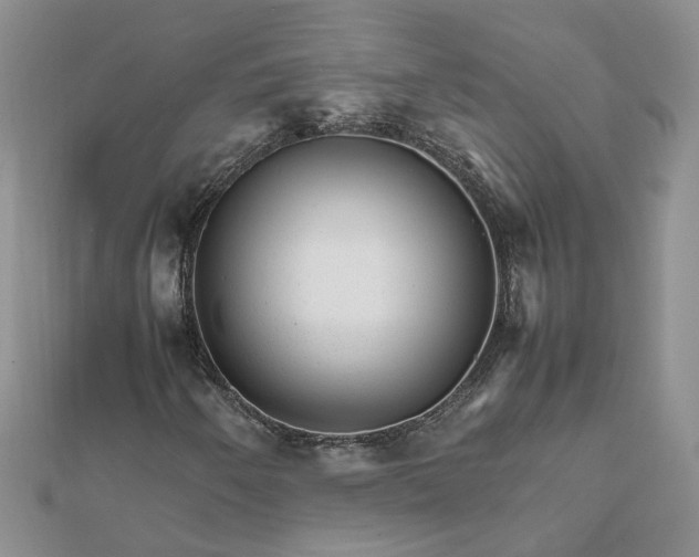 X0000111681250200907311212