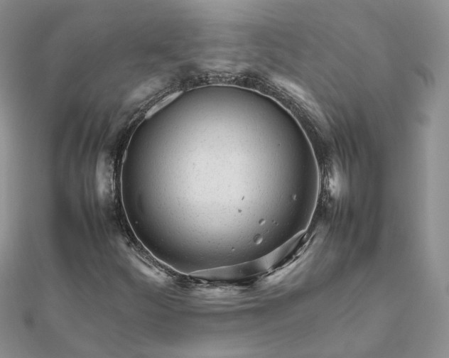 X0000111681252200907311212