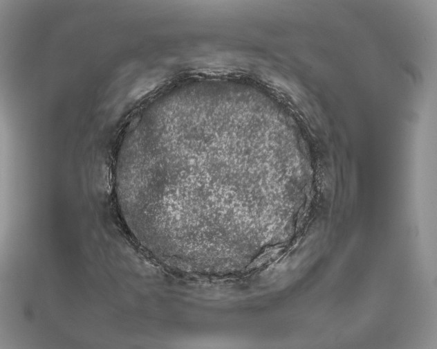 X0000111681253200907311212