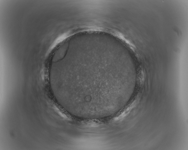 X0000111681255200907311212