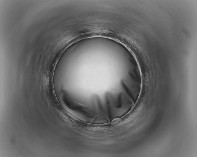 X0000111681257200907311212