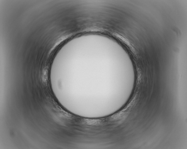 X0000111681258200907311212