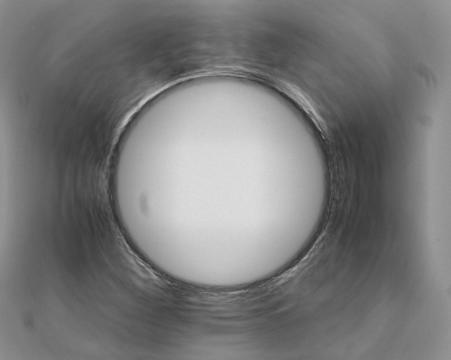 X0000111681260200907311212