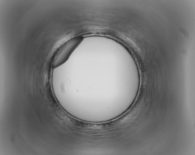 X0000111681261200907311212