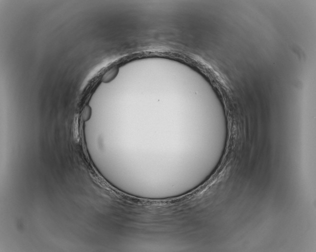 X0000111681262200907311212