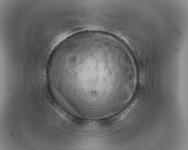 X0000111681263200907311212