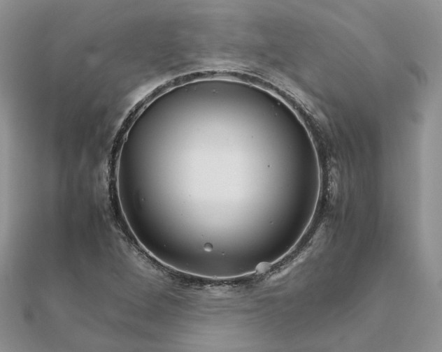 X0000111681264200907311212